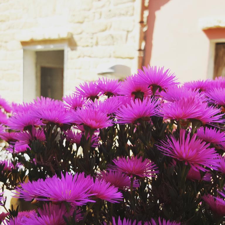 B&B Cinisi Vacanze Exterior photo